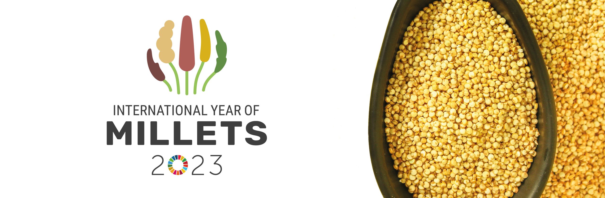 #IYM2023, millet, year of millets, fonio